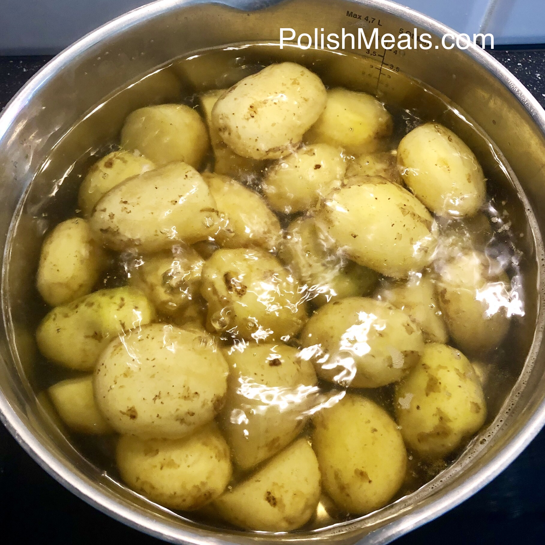 Polish Potato Salad Recipe | Polish Meals & Cooking